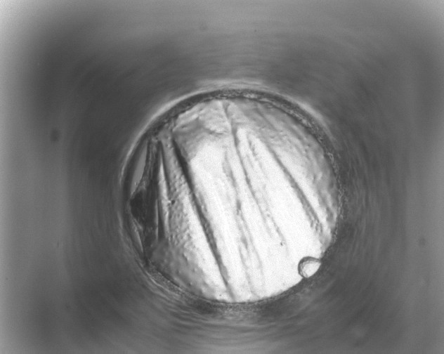 X0000070191271200606232003