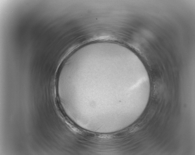 X0000070191274200606232003