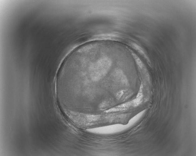 X0000070191275200606232003