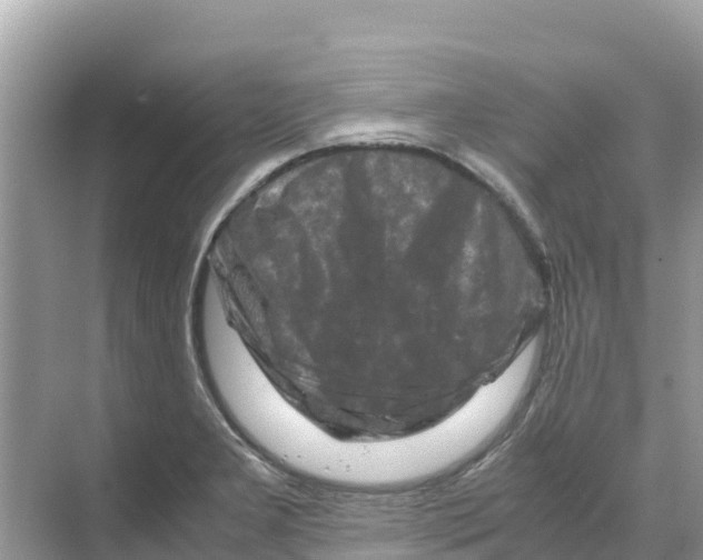 X0000070191277200606232003