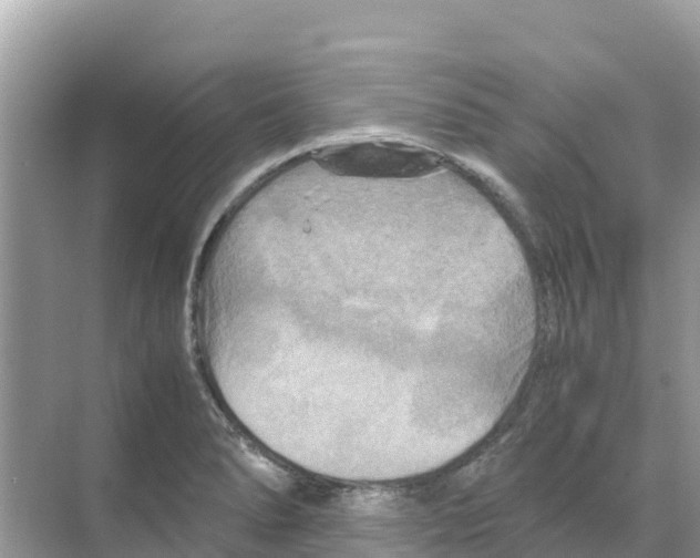 X0000070191278200606232003