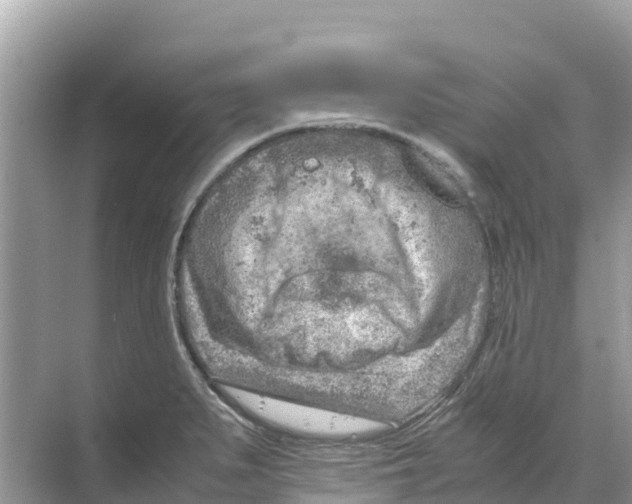 X0000070191279200606232003