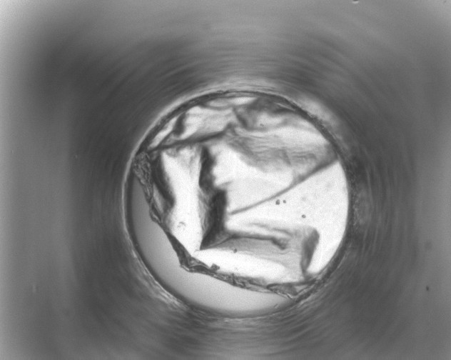 X0000070191280200606232003