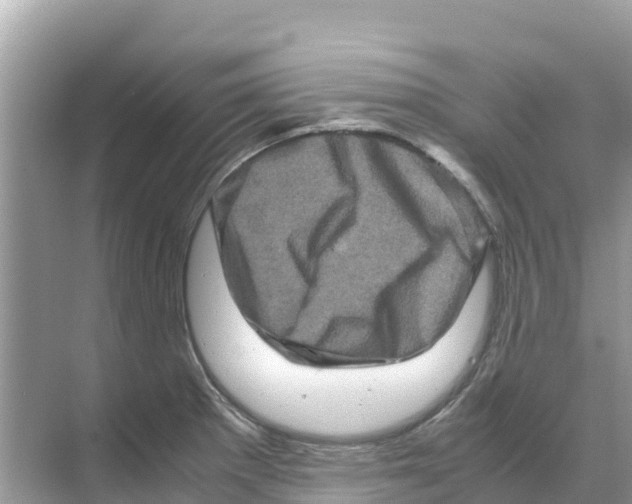 X0000070191281200606232003