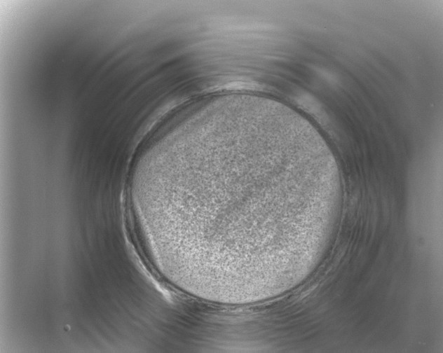 X0000070191282200606232003