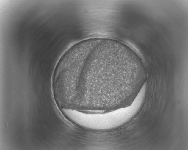 X0000070191283200606232003