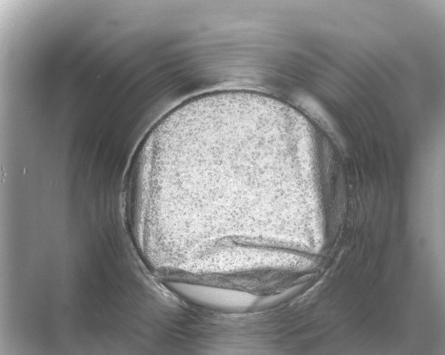 X0000070191284200606232003