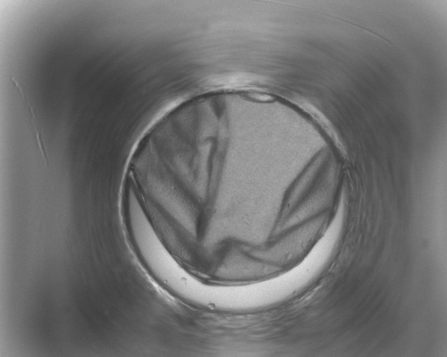 X0000070191285200606232003