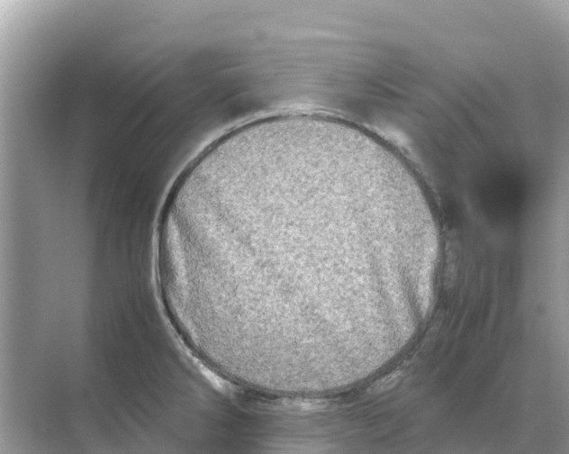 X0000070191286200606232003