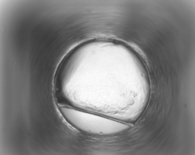 X0000070191287200606232003