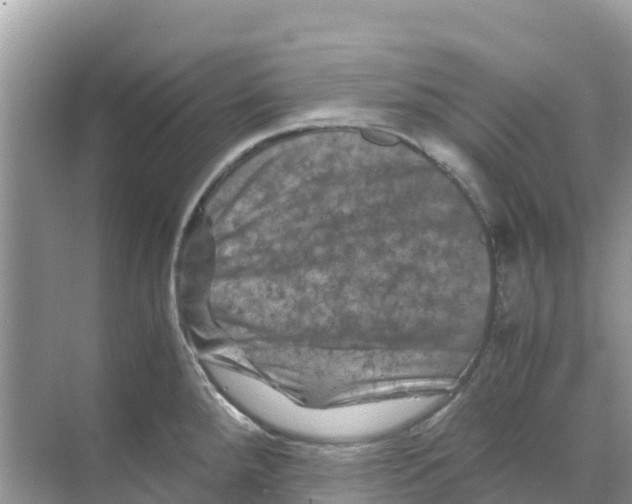 X0000070191288200606232003