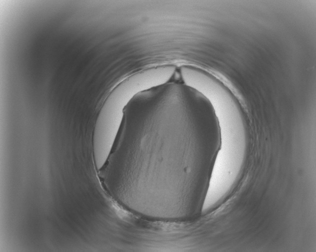 X0000070191289200606232003