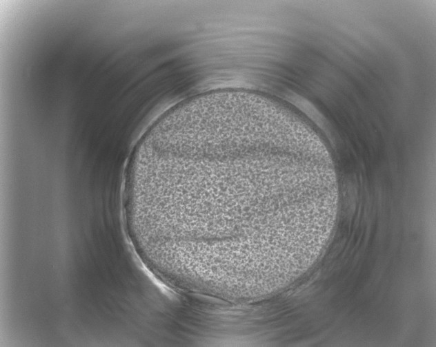 X0000070191290200606232003