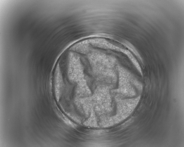 X0000070191292200606232003