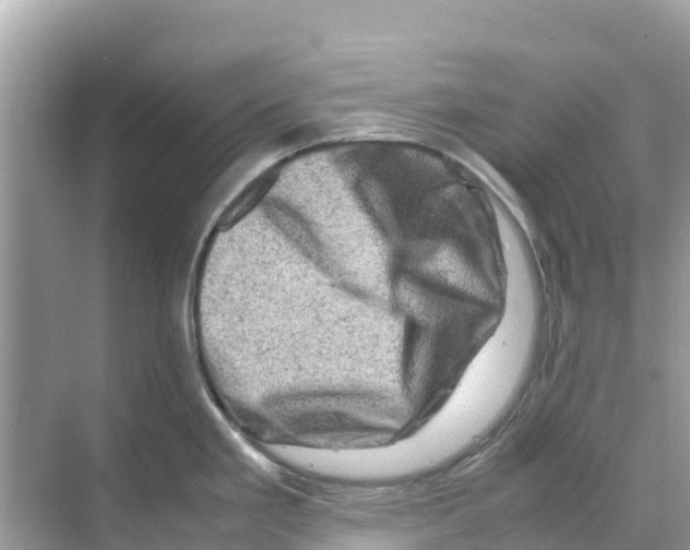 X0000070191293200606232003