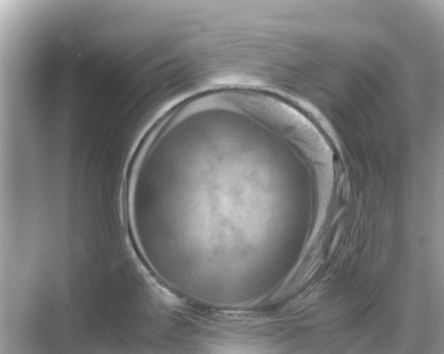 X0000070191295200606232003