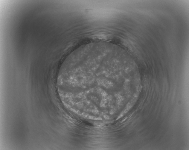 X0000070191297200606232002