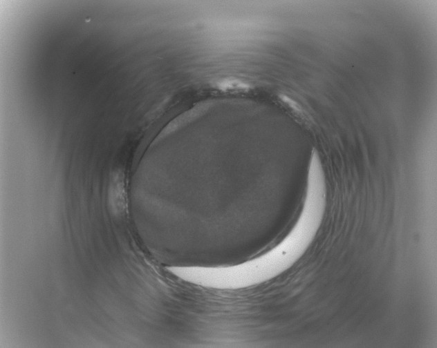 X0000070191298200606232002