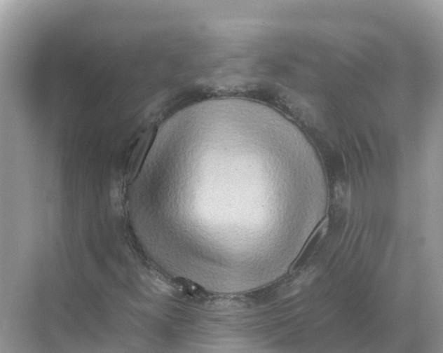 X0000070191300200606232002