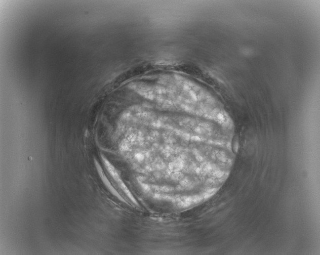 X0000070191301200606232002