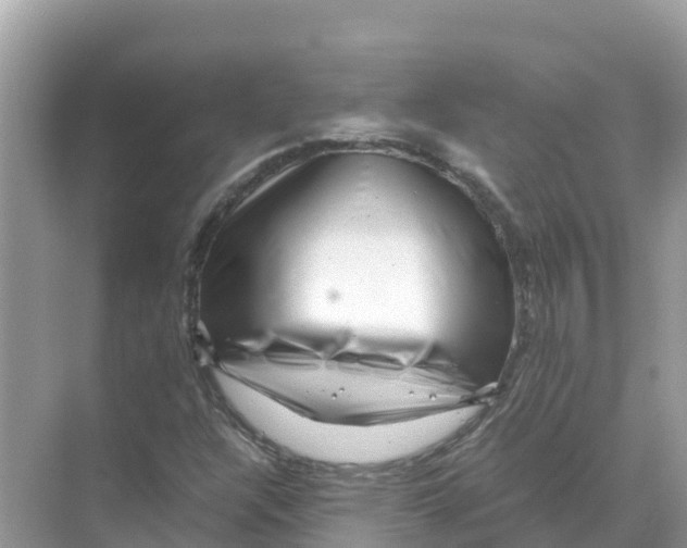 X0000070191304200606232002