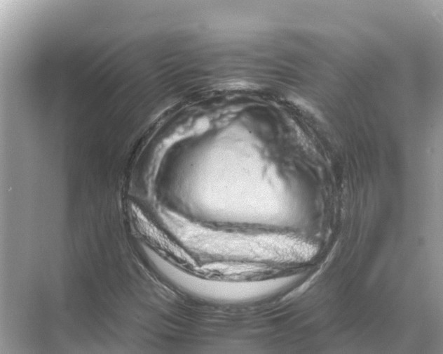 X0000070191305200606232002