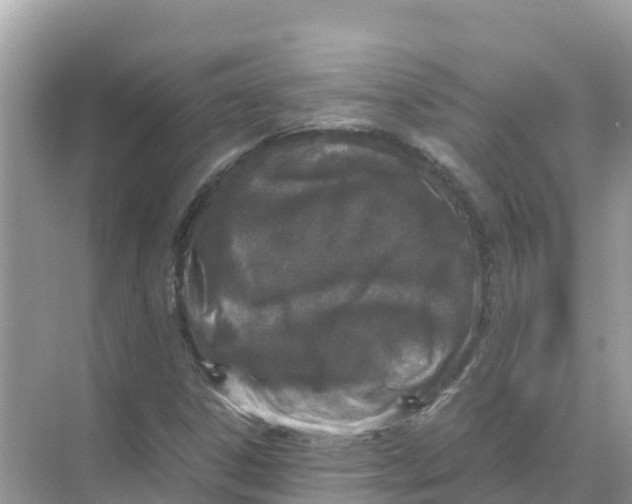 X0000070191306200606232002