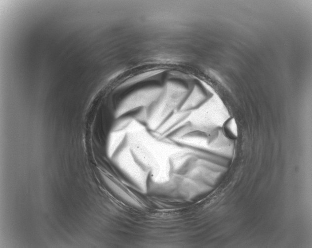 X0000070191307200606232002