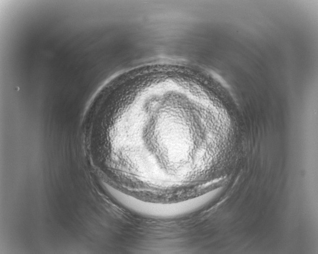 X0000070191310200606232002