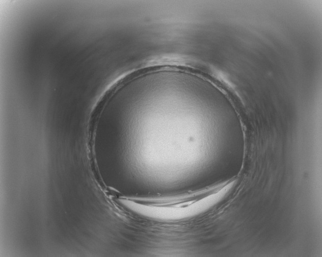 X0000070191312200606232002