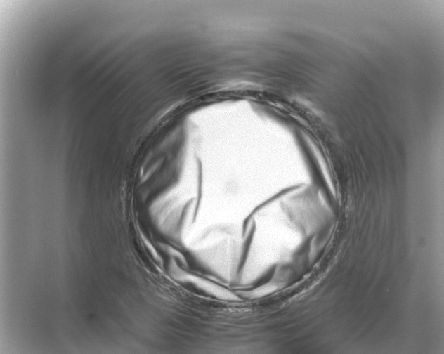 X0000070191313200606232002