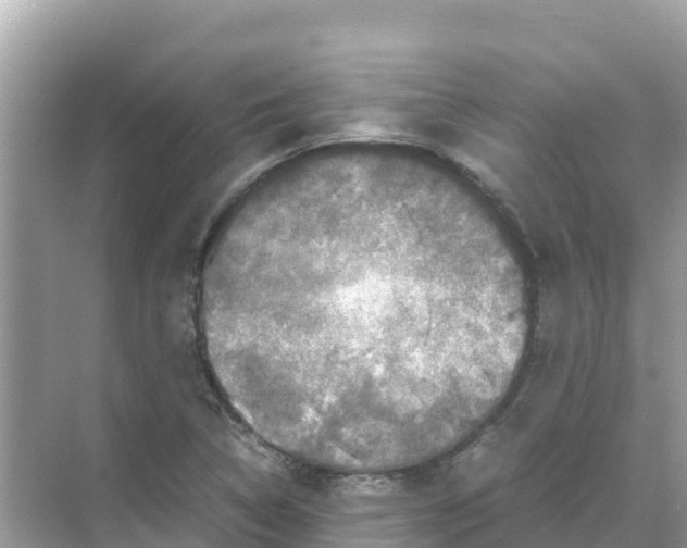 X0000070191314200606232002