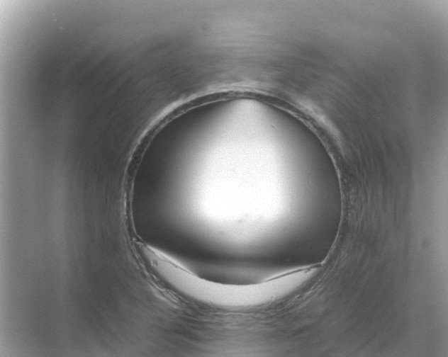 X0000070191316200606232002