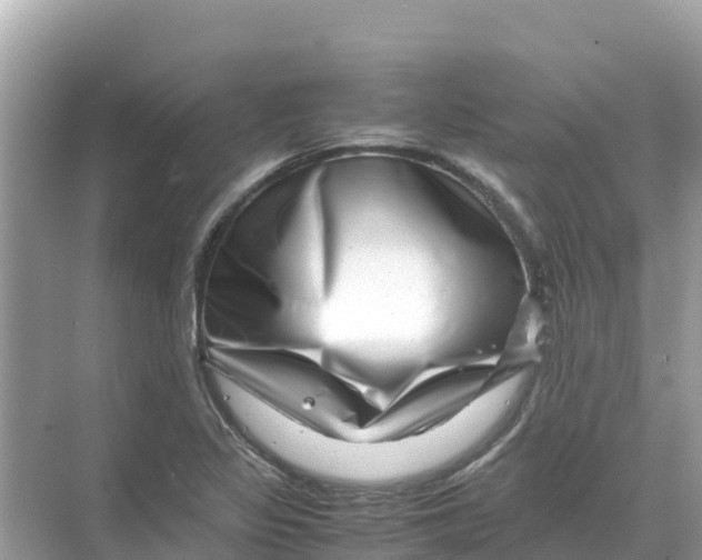 X0000070191317200606232002