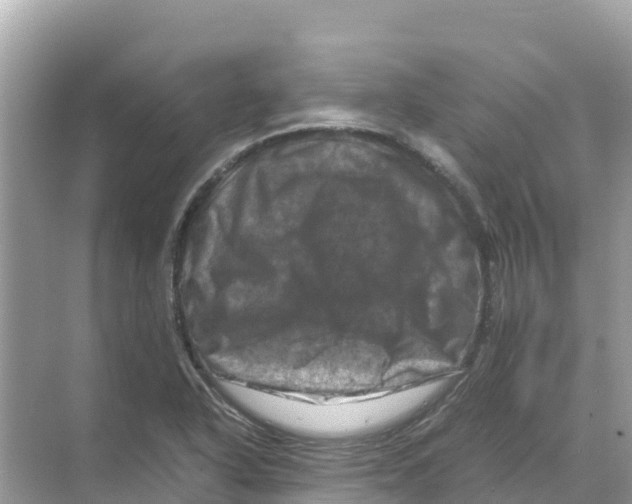 X0000070191318200606232002