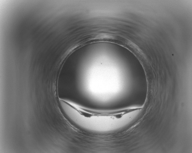 X0000070191321200606232002