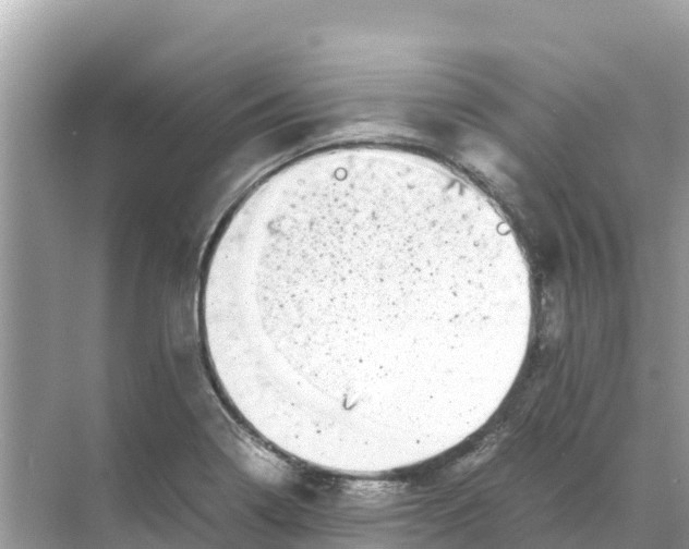 X0000070191322200606232002