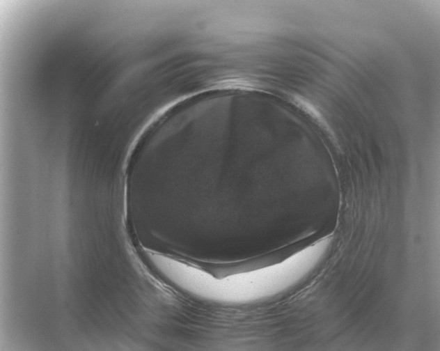 X0000070191323200606232002