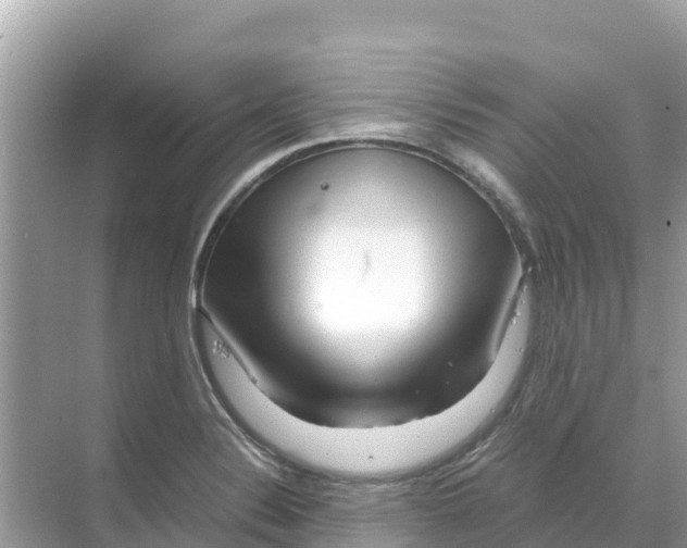 X0000070191324200606232002