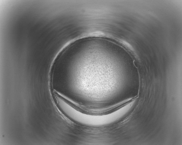 X0000070191326200606232002