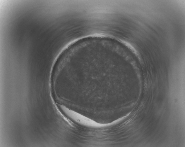 X0000070191327200606232002