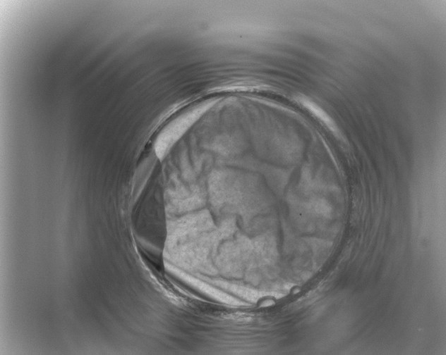 X0000070191329200606232002