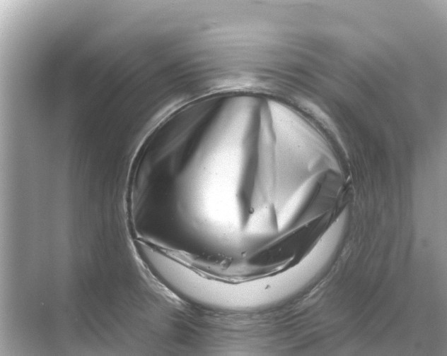 X0000070191330200606232002