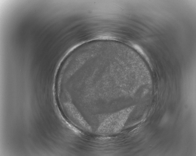 X0000070191331200606232002