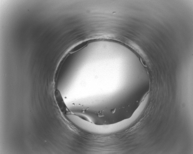 X0000070191332200606232002