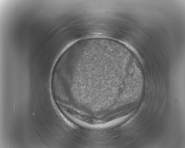 X0000070191333200606232002