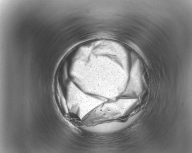 X0000070191339200606232003