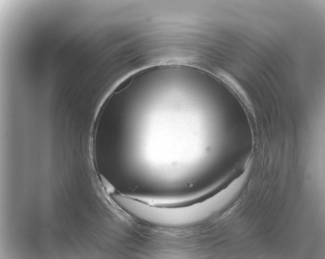 X0000070191340200606232003