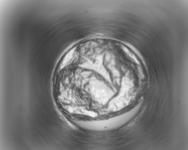 X0000070191341200606232003