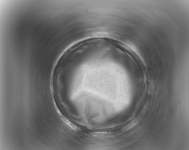 X0000070191342200606232003